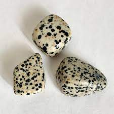 Dalmatian Jasper - Tumbled