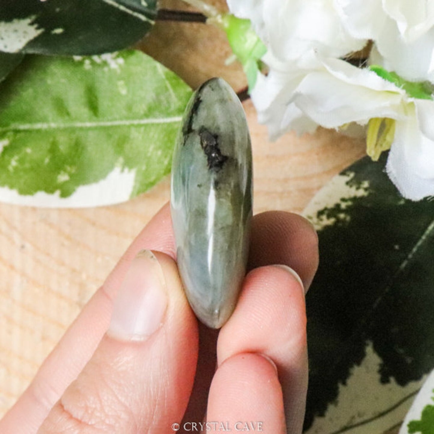 Labradorite - Palm Crystal