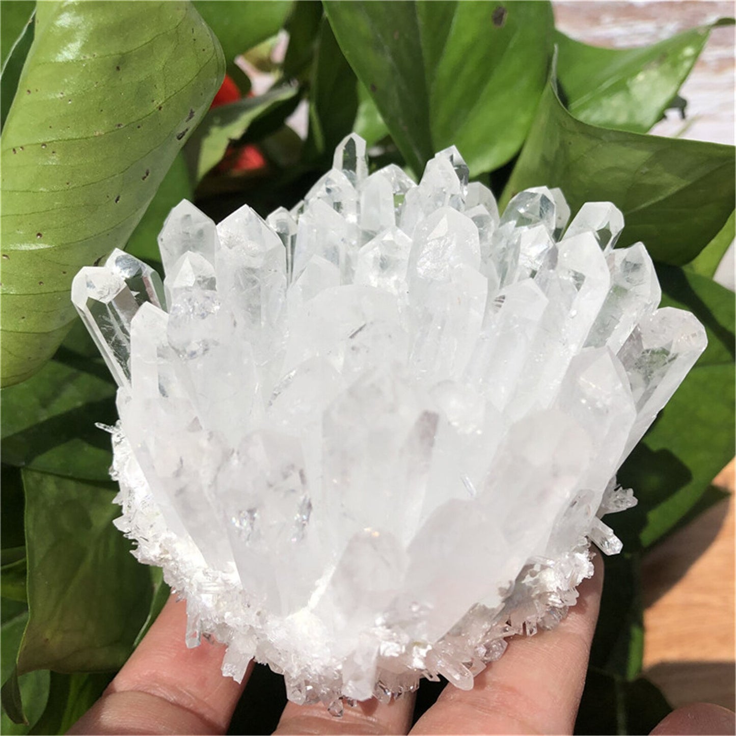 Clear Quartz Cluster
