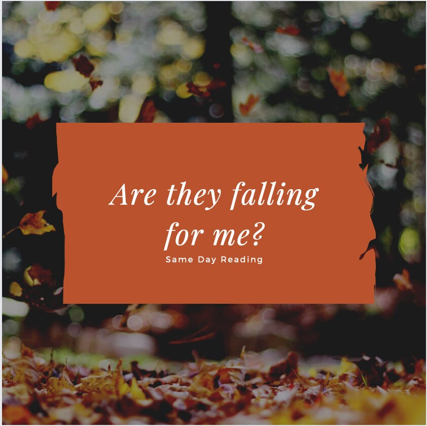 Are They Falling For Me?
