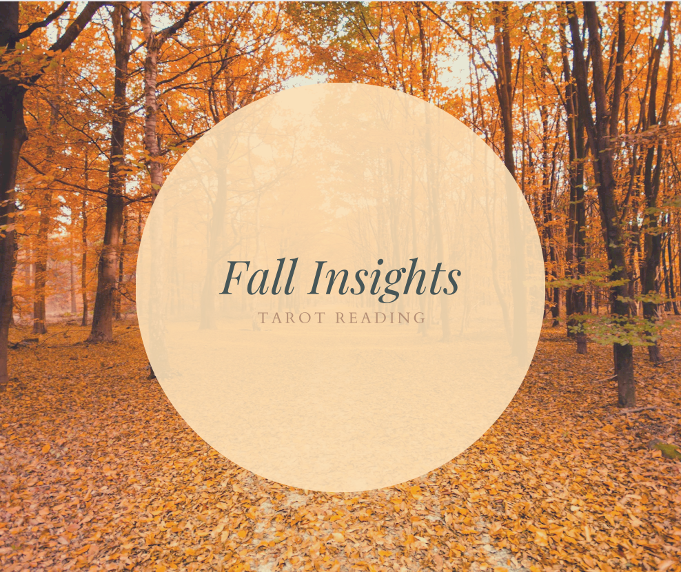 Fall Insights