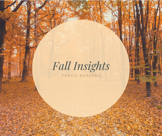 Fall Insights