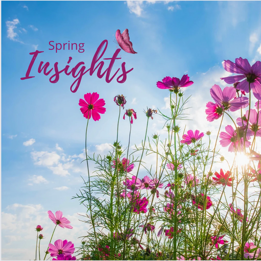 Spring Insights