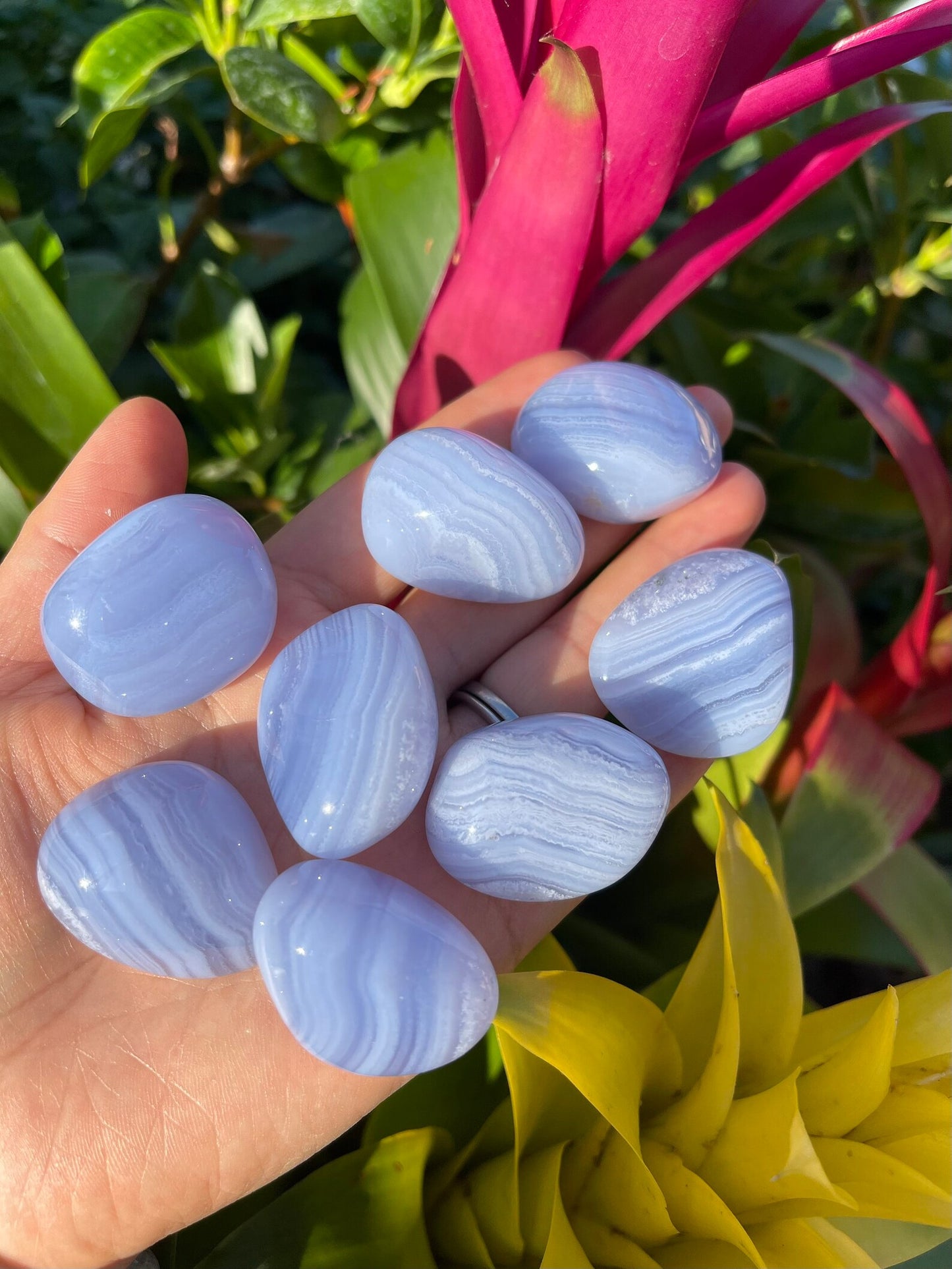 Blue Lace Agate - Tumbled