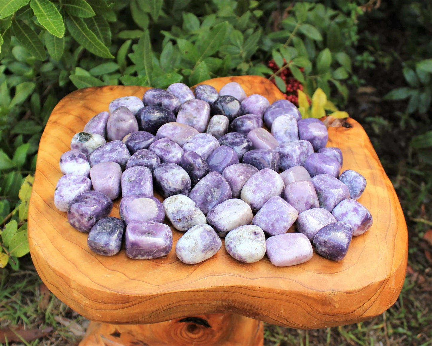 Lepidolite - Tumbled