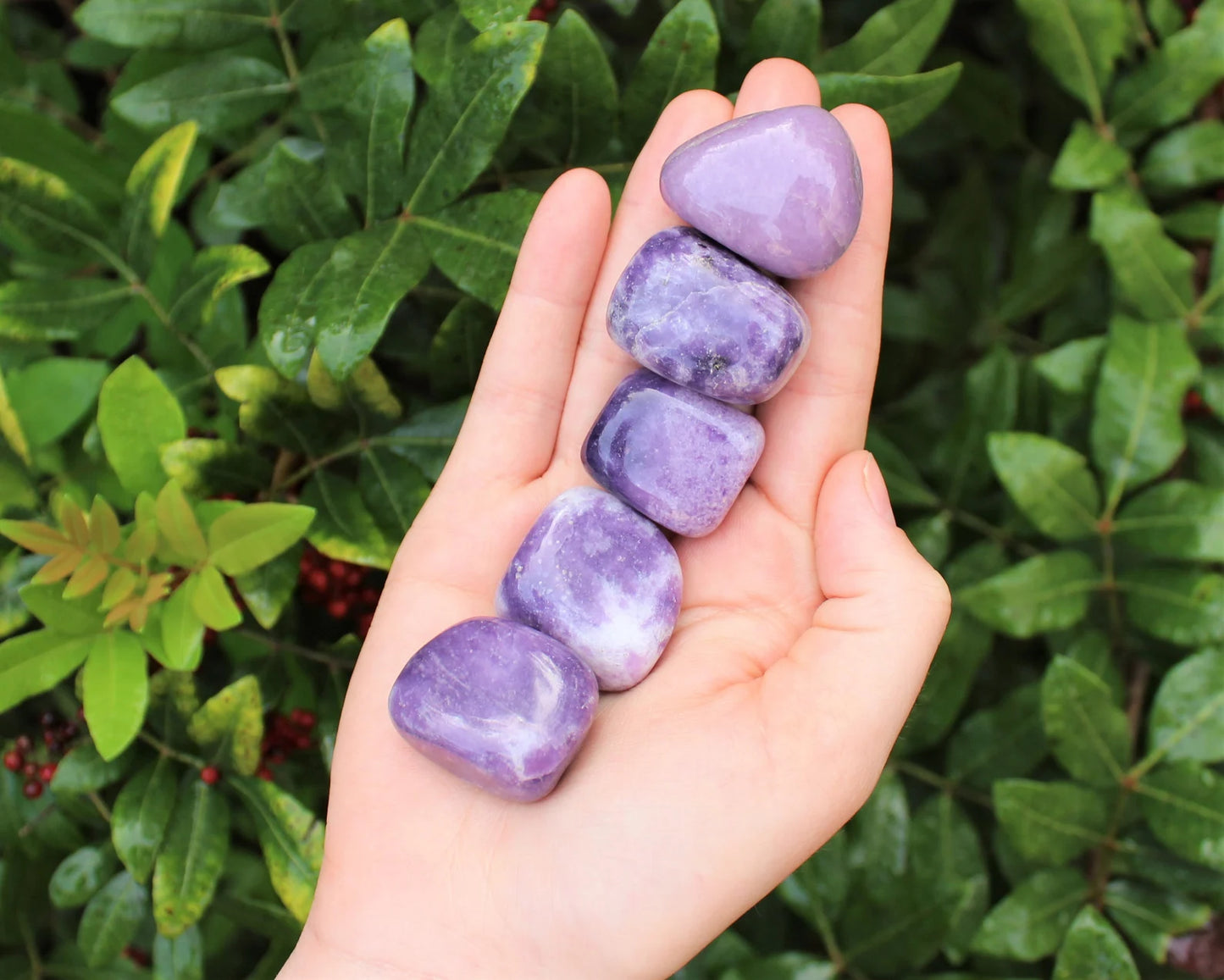 Lepidolite - Tumbled