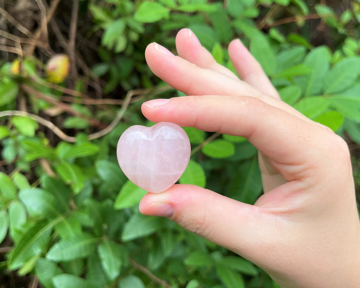 Rose Quartz - Heart