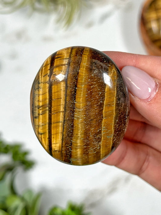 Tiger's Eye - Palm Stone
