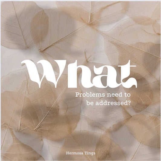 What Problems Need To Be Addressed?