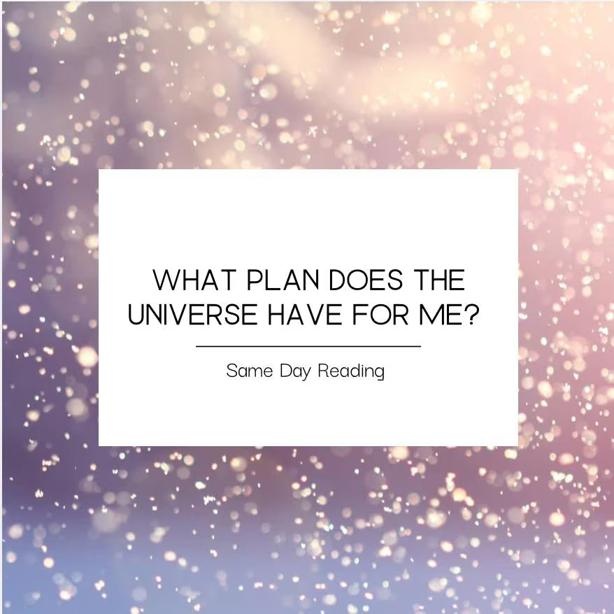 What Plan Does The Universe Have For You?